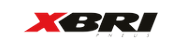XBRI